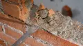 Bosch SDS-Max Eco Yassı Keski 400x25 mm